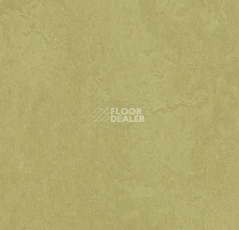 Линолеум Forbo Marmoleum Marbled Fresco 3265-326535 avocado фото 1 | FLOORDEALER